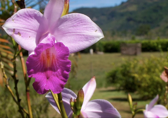 Captura de pantalla 2021-12-02 a las 16.15.41.png