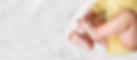 iStock-1287655012.jpg