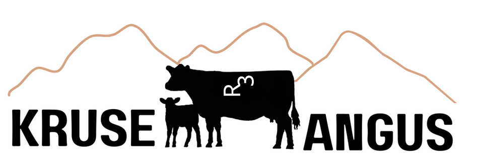 logo with badlands .png