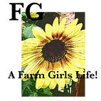 Untitled design (59).png