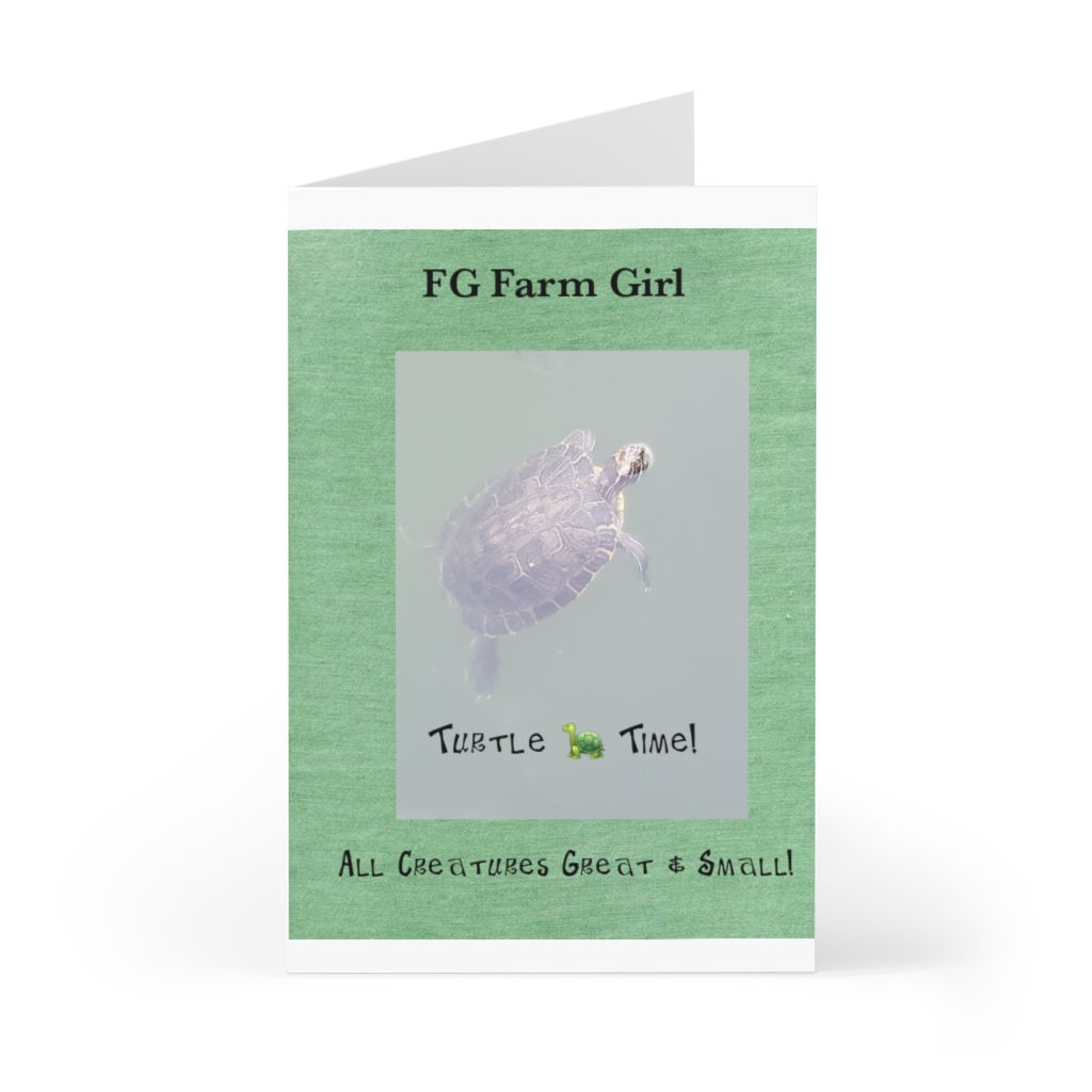 Greeting Cards (7 pcs) Turtle 🐢  Time All Creature Great & Small