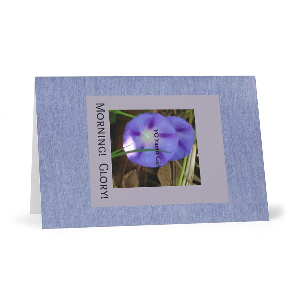Miniatura: Greeting Cards (7 pcs) Morning Glory!