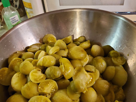 SUNDAY BLENDER BLUES!