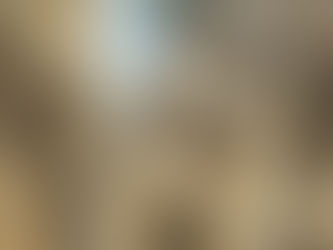 It's fine! I'm fine! Everything is fine!