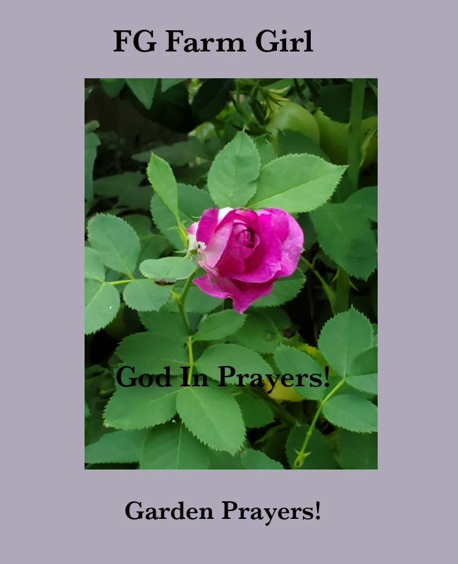 Miniatura: Posters featuring A Farm Girls Life!