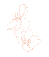 flowers pink_2 flowers.png