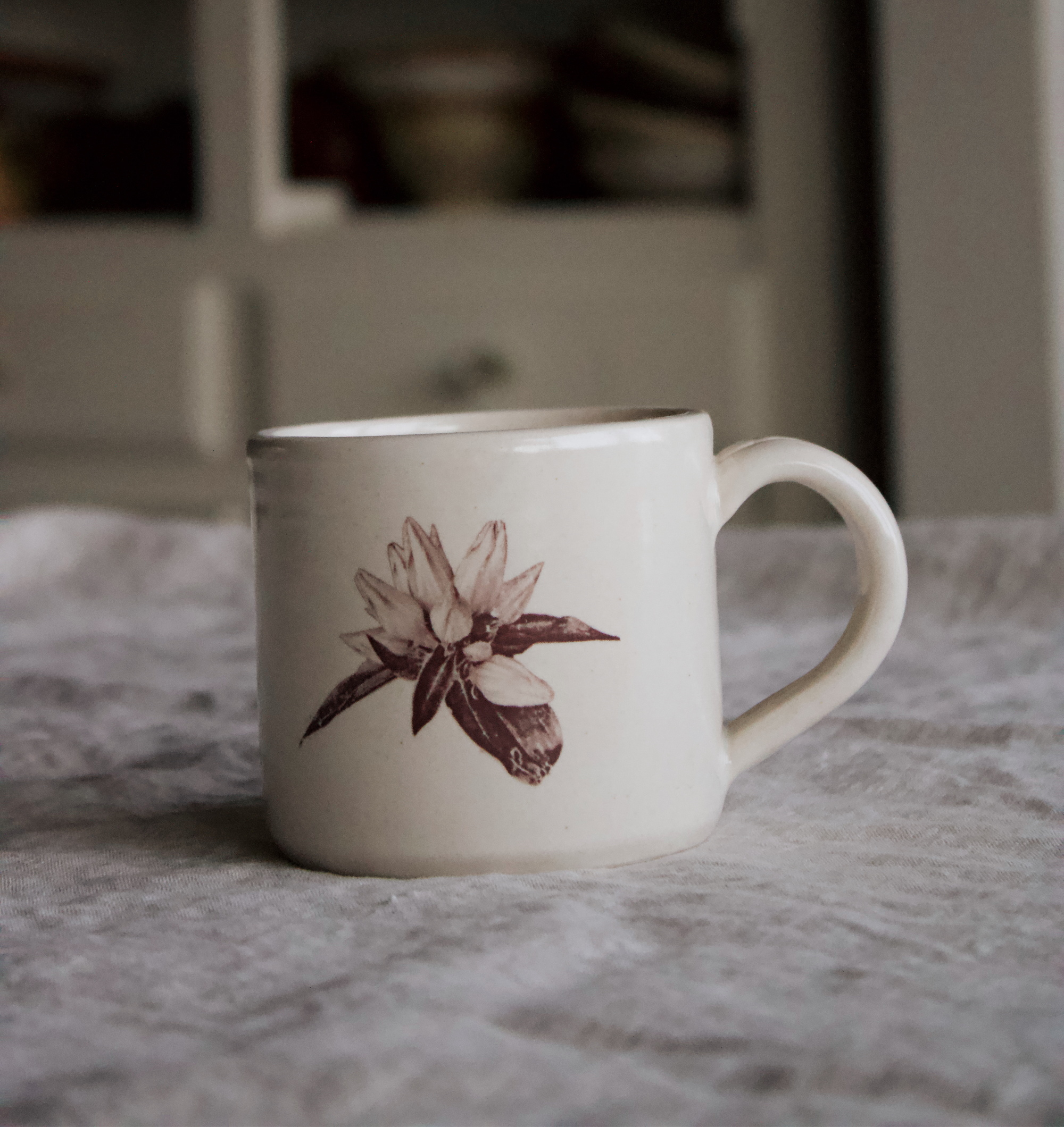 White Mug with Image of White Gentian from our Prairie