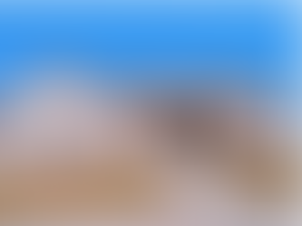 JUST SOLD II UPDATED RAMBLER IN HERRIMAN II $629,999