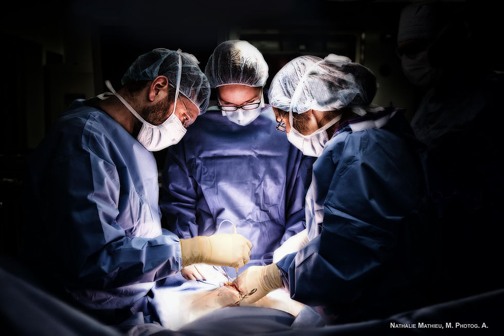 ד״ר יונתן סטנלי