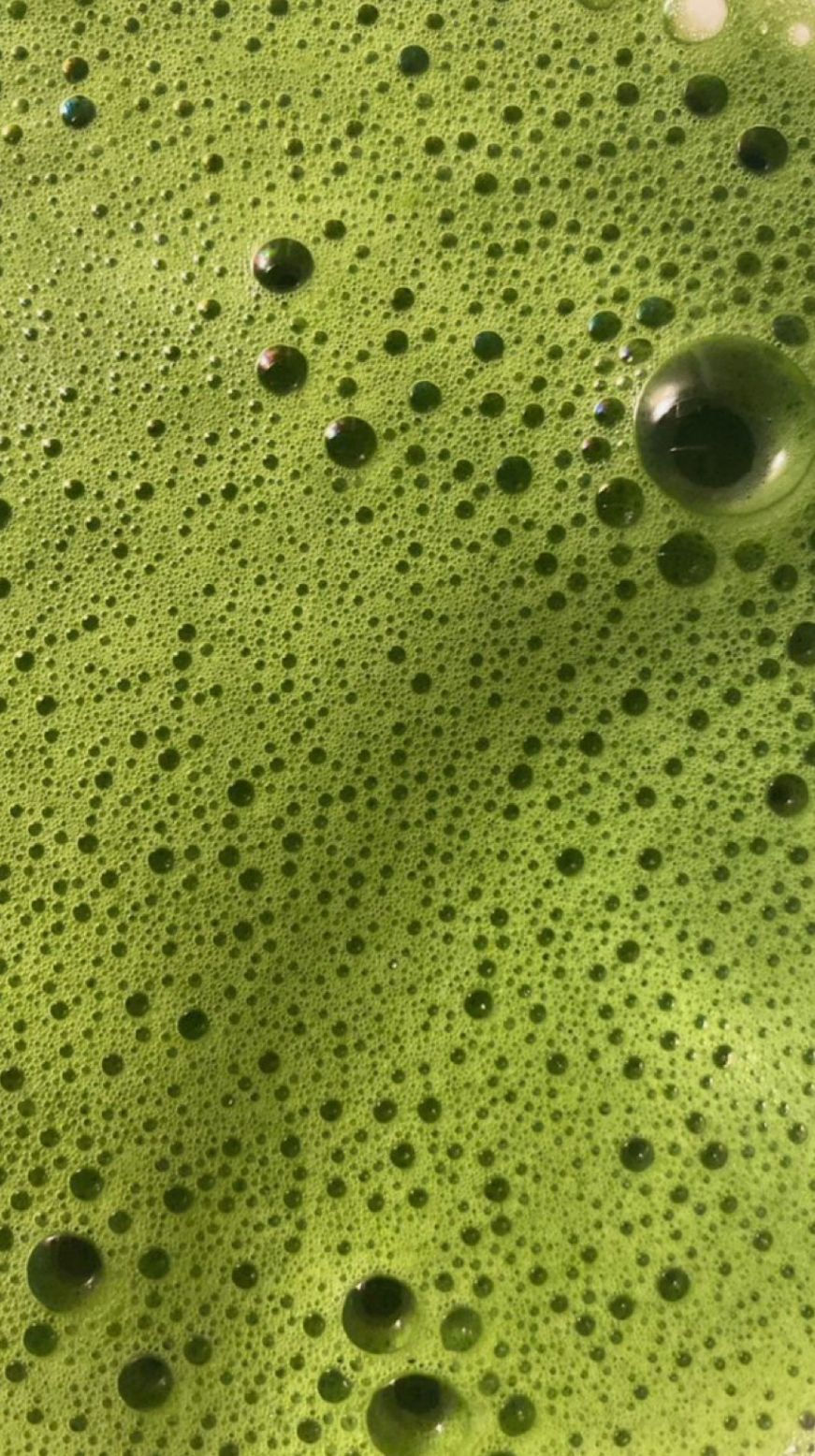 Thumbnail: Lata Matcha Ceremonial