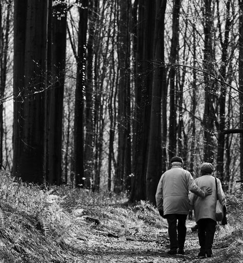 Age UK Islington: The Benefit of SharePoint