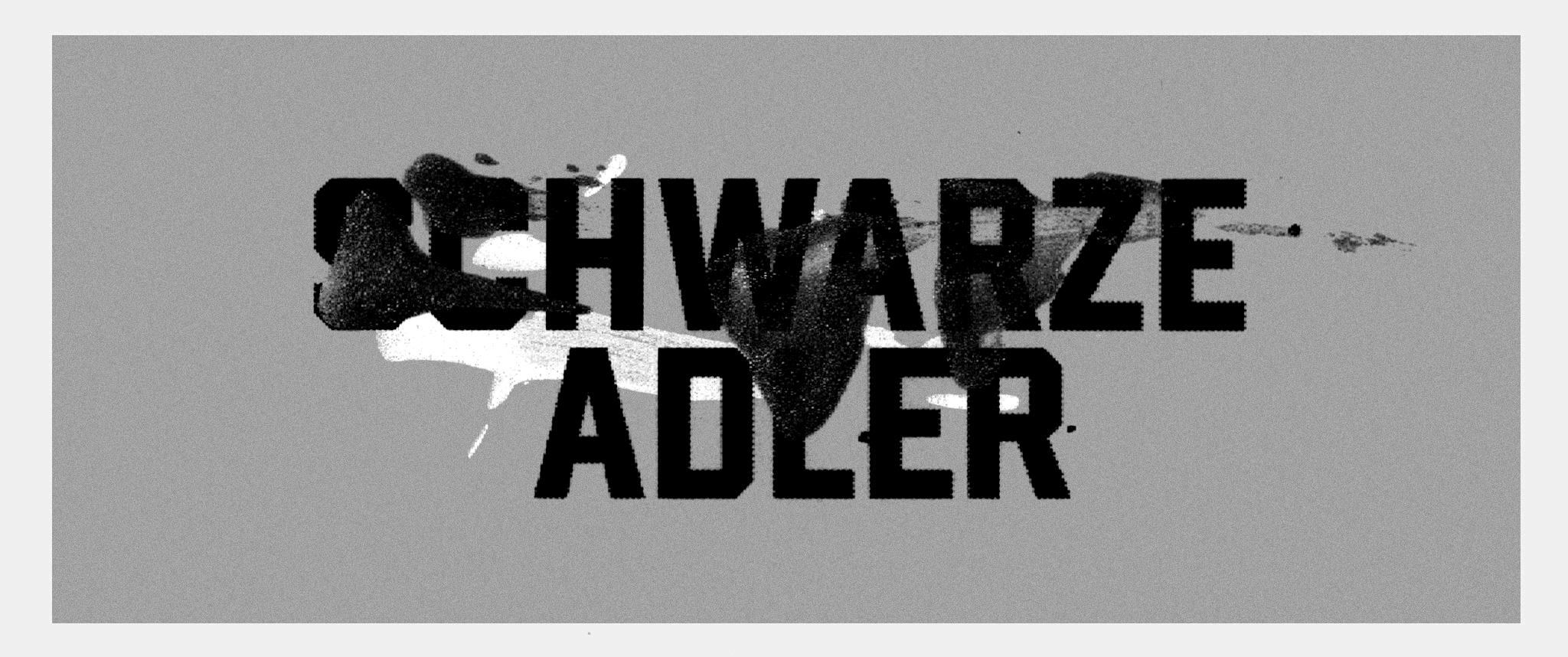 Schwarze Adler Logo Design Ideas