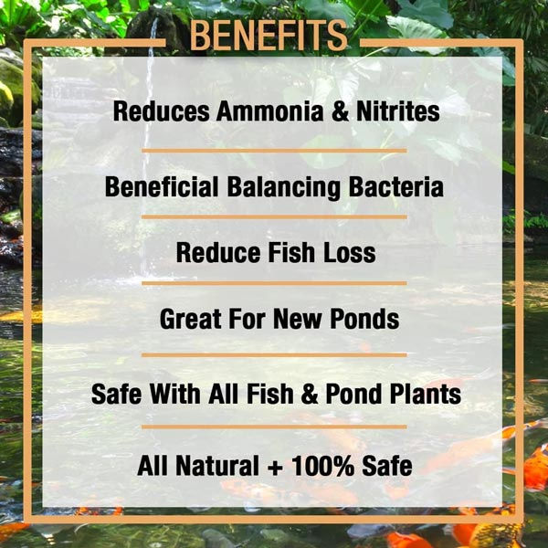 Thumbnail: Microbe-Lift Niteout 2 Bacteria- Ammonia and Nitrite Reducer (32oz)
