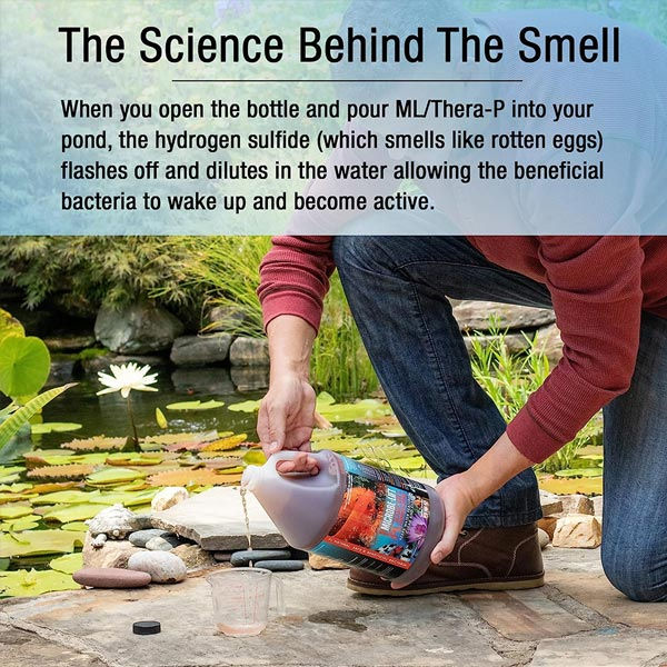 Thumbnail: Microbe-Lift PL Beneficial Bacteria- 128oz (1gal)