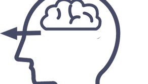 健康情報 『視界の情報量』