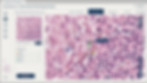Annotate.jpg