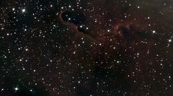 Elephant Trunk Nebula
