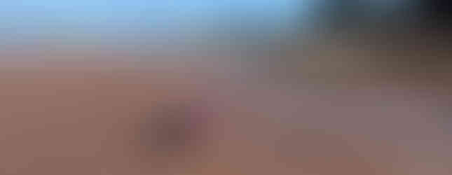 departure from Den Helder, NL, aug 2024