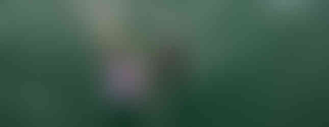 departure from Den Helder, NL, aug 2024