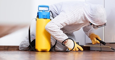 Dedetização é com a Conser