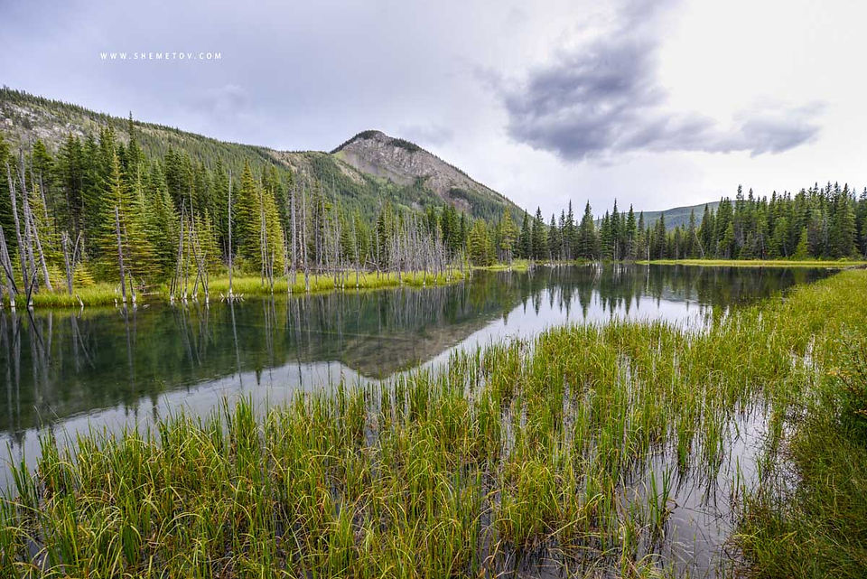 Elbow River
