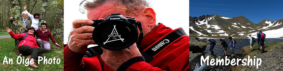 banner merbship.jpg