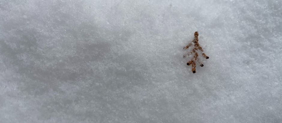 年末年始（12月28日〜1月３日）発送をお休みします。