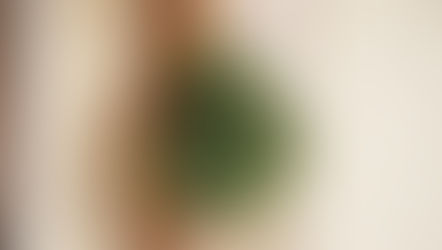 年末年始（12/26〜1/4）発送のお休みについて