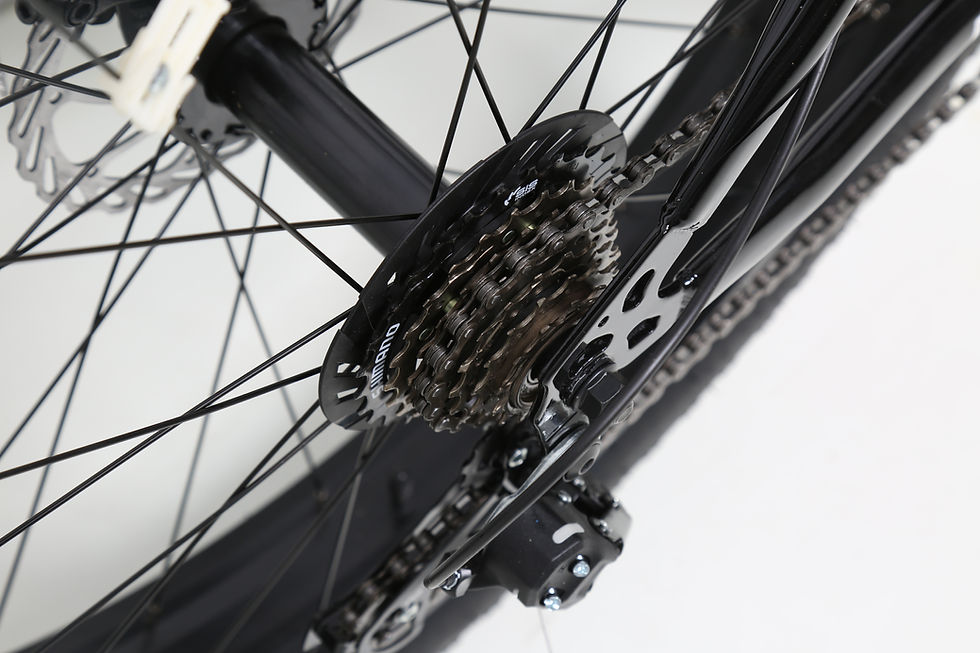Thumbnail: Dadco Fat Tire  26" Pedal bicycle