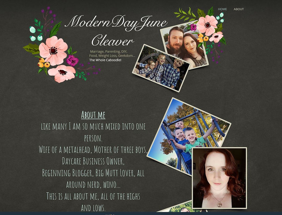 Blog Design-ModernDayJuneCleaver