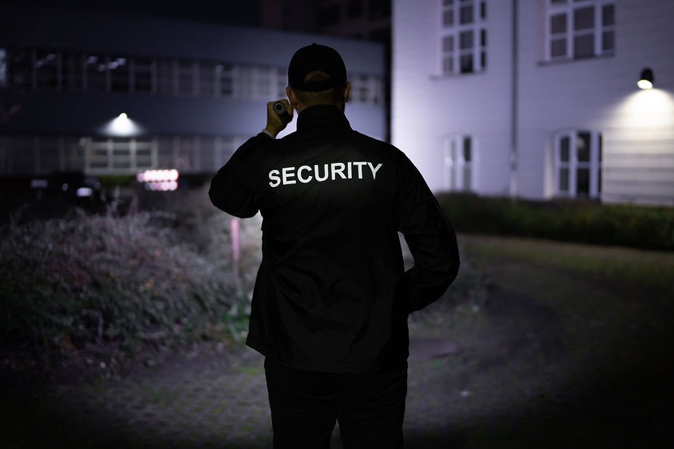 Vigilant security guard