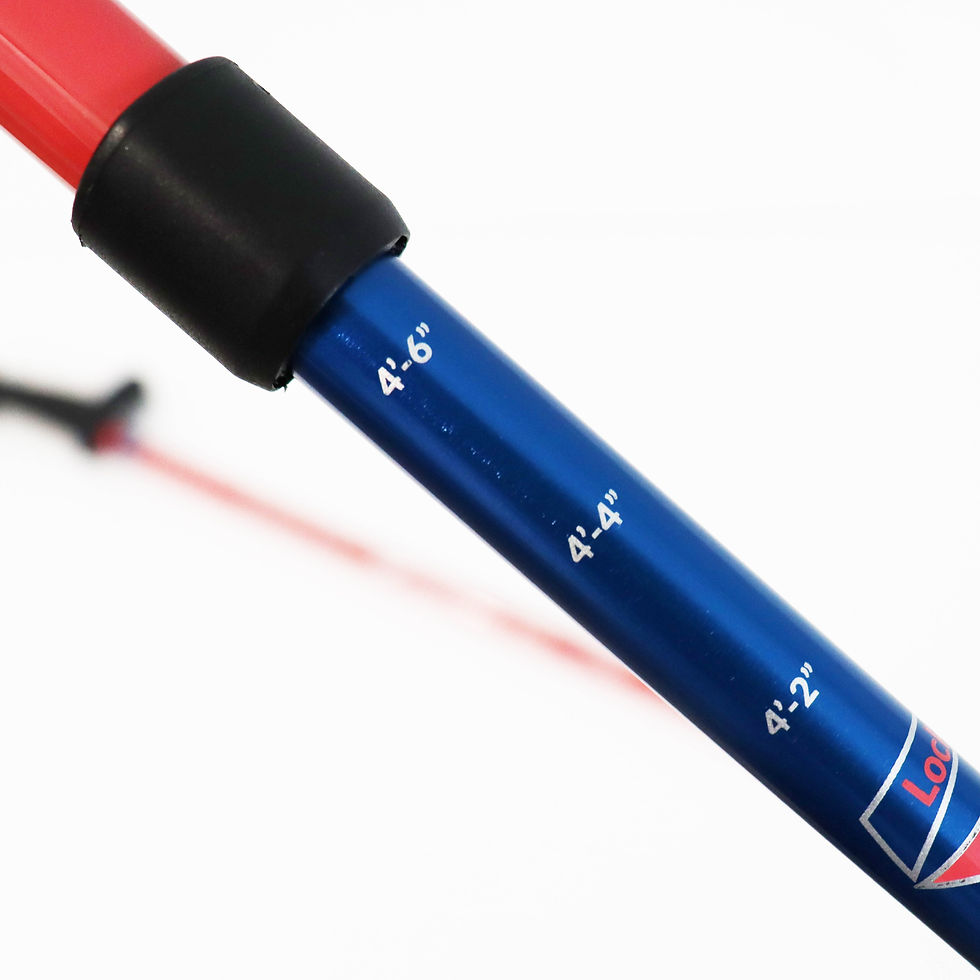 Thumbnail: URBAN X Walking Stick