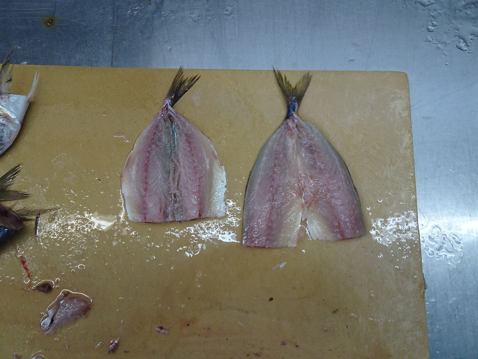 サムネイル： MY 長崎産 あじふらい極(ﾜﾝﾌﾛ) 100-120