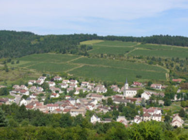 bourgogne 01.jpg