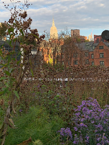 View from the High Line in Chelsea, New York City