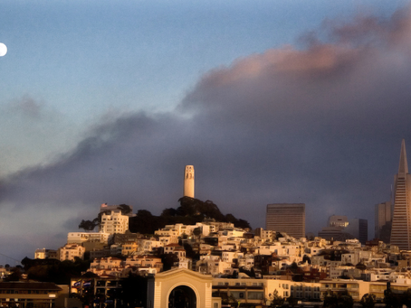 Exploring the Origins of California in Telegraph Hill, San Francisco 