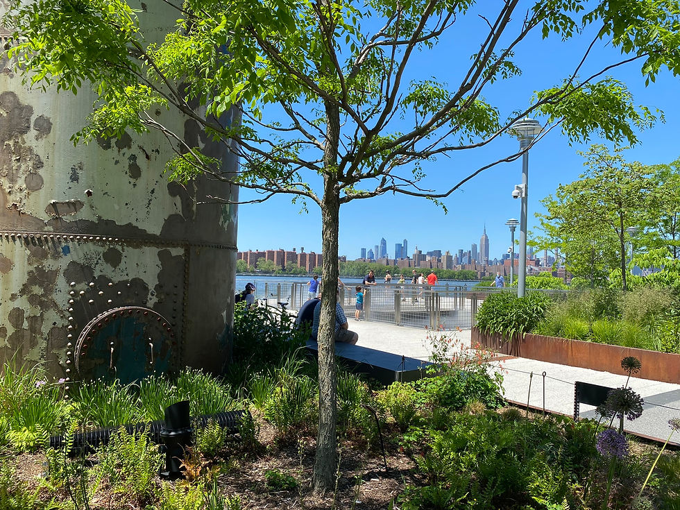 domino park, brooklyn