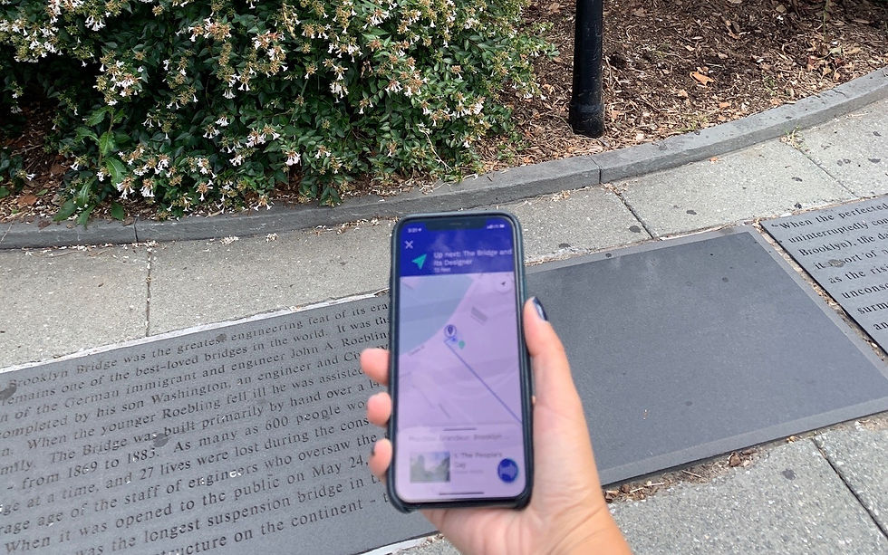 person holding an iphone