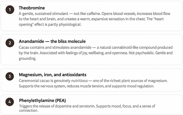 FAQ cacao