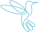Hummingbibrd - graphic _edited.png