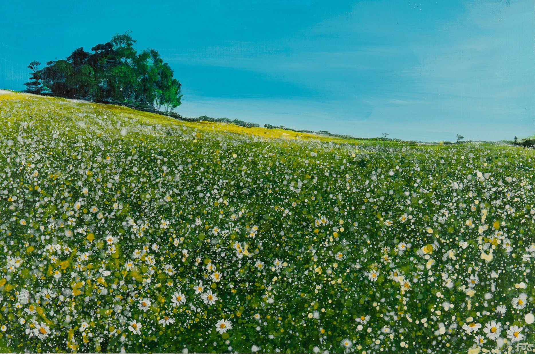 Kelston Roundhill Daisy limited edition fine art giclee art prints for sale by Fi Smith Artist