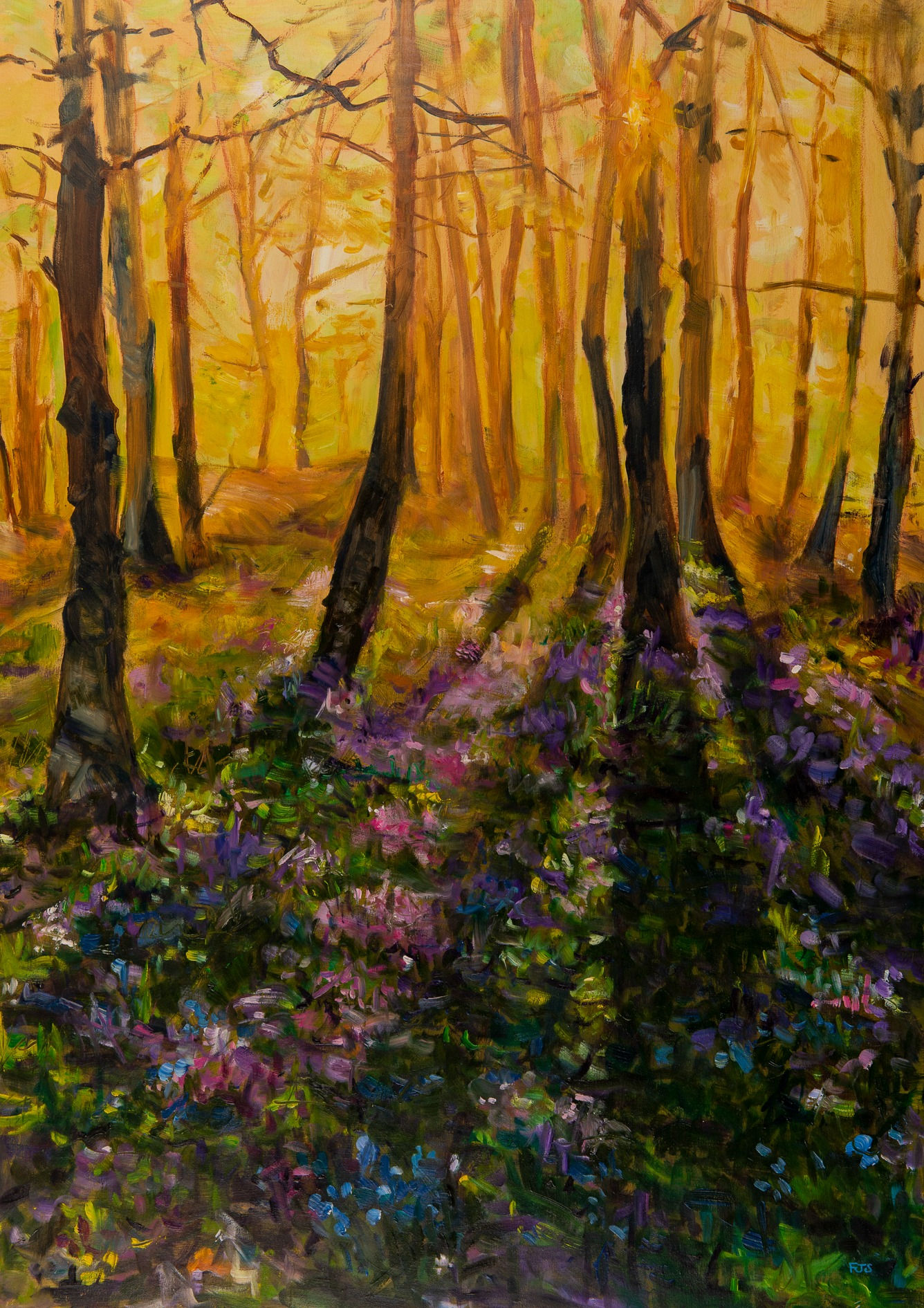 Bluebell Woods fine art giclee print at sunrise landscape