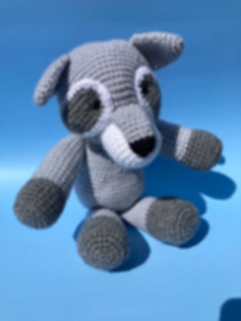 Ricky the Raccoon  