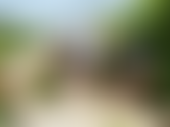 Costa Rica Itineraries: The Land of Adventures