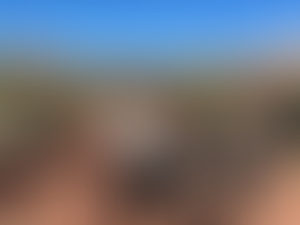 Sweet Sedona Adventures