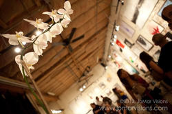 Postcards From My Subconscious