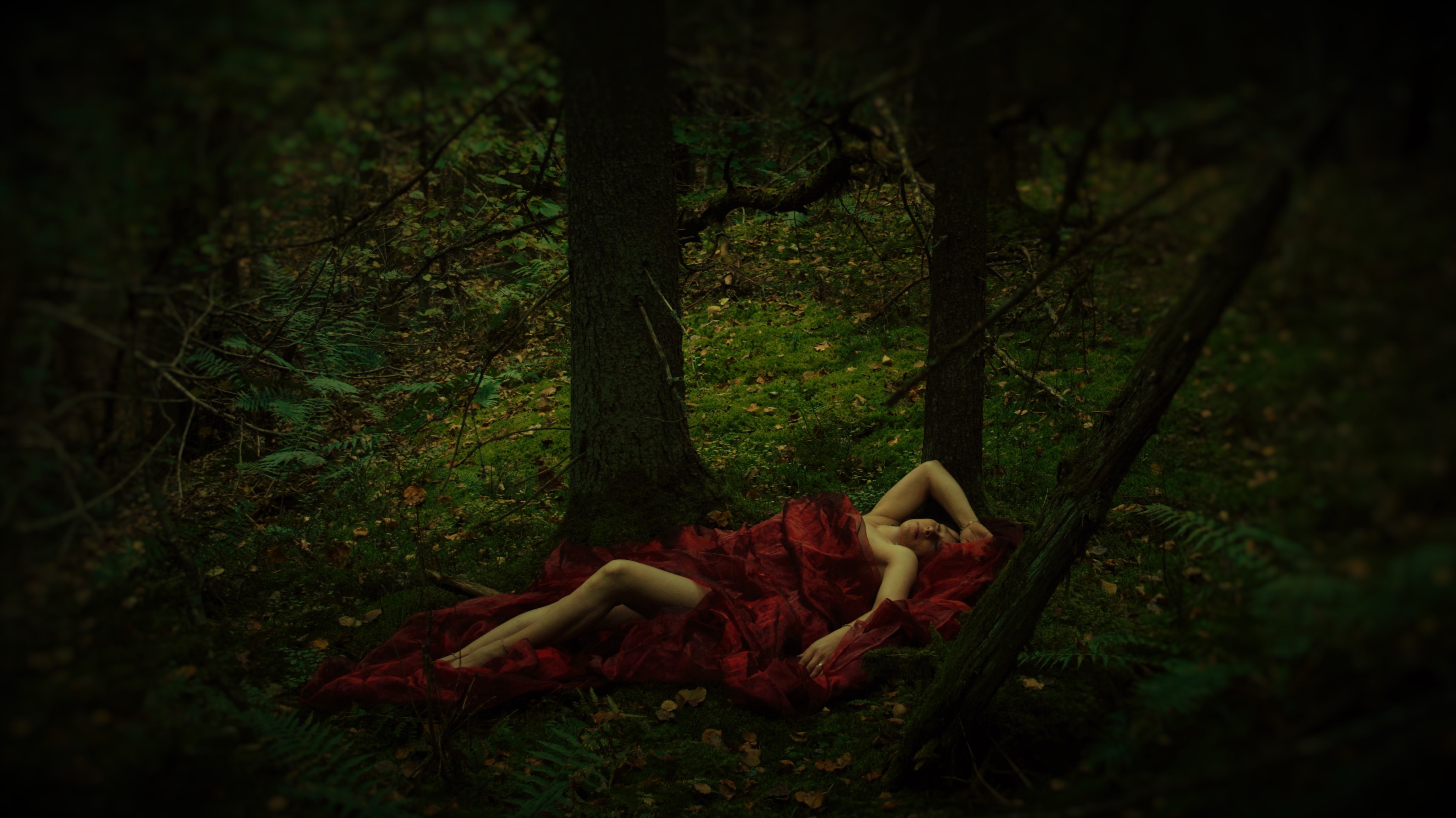 Red riding hood