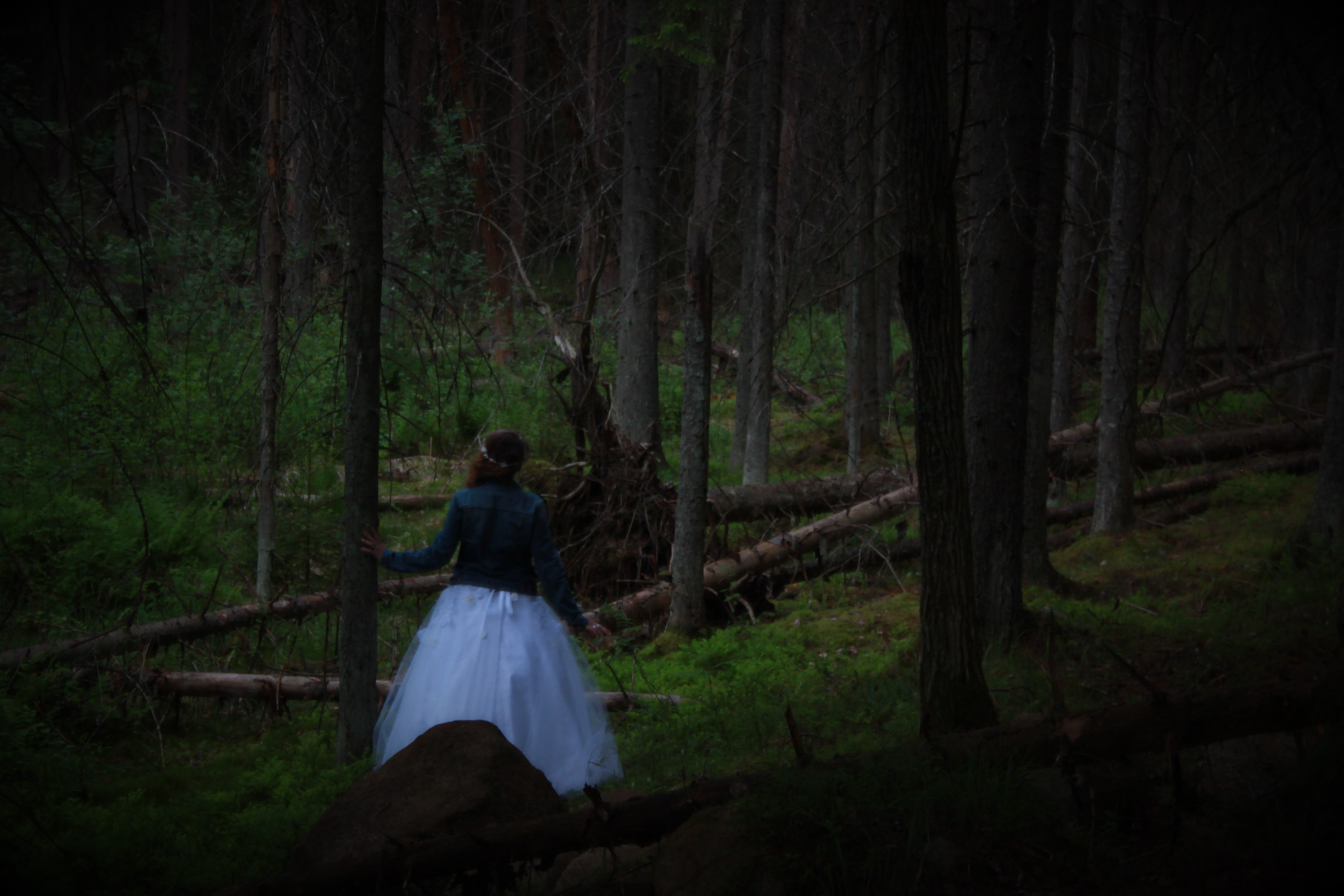 The Magical forest