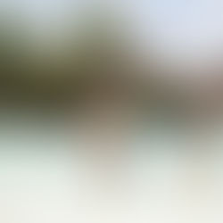 Tendências do mercado de turismo e hospitalidade que vão impactar 2026 e os próximos anos