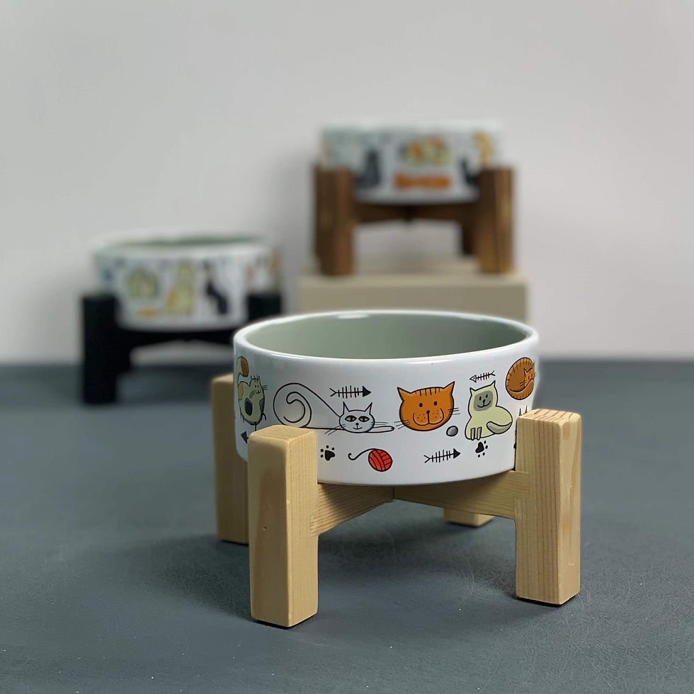 Thumbnail: 12 pcs - Pet Bowl 5" Printed